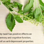 Brain-Basil