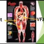 FAT and VFA