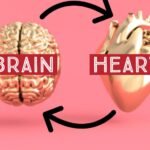 Herat and Brain Health