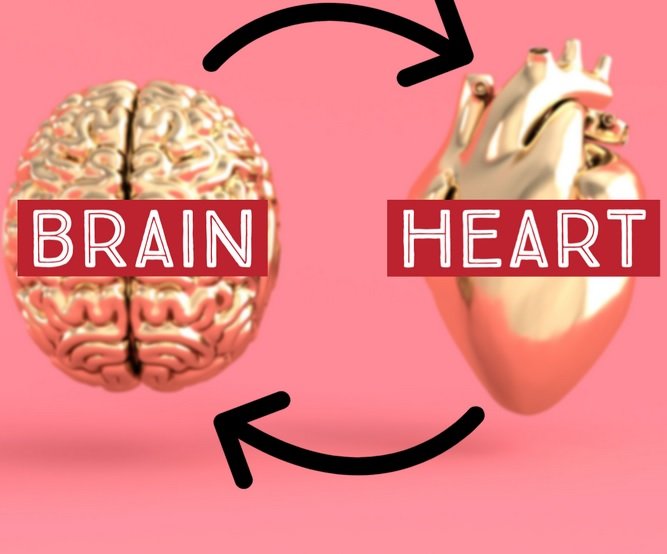 Herat and Brain Health