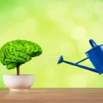 brain-2